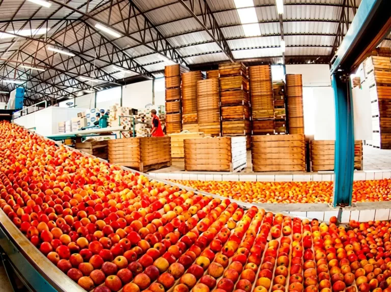 Quem Somos Cantu Alimentos Diversificação