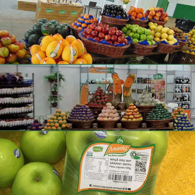 Amanhã Orgânicos